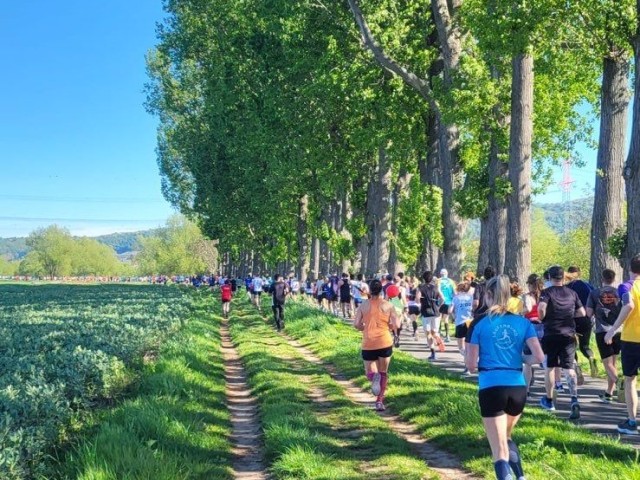 25. Oberelbmarathon